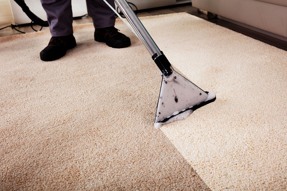 Carpet cleaning before and after